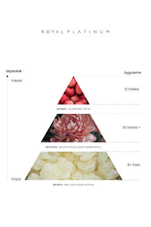 MONTENEGRO 100 ML PARFÜM