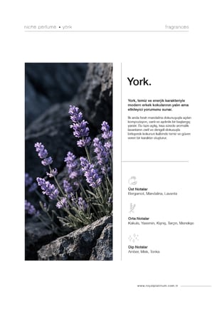 York Erkek EXTRAIT DE PARFUM 100 ML Lavanta - Mandalina - Amber | Ferah Seri