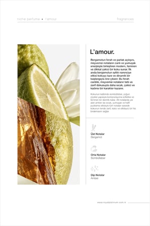 Lamour Kadın EXTRAIT DE PARFUM 100 ML Sümbülteber - Bergamot - Amber | Çiçeksi Seri