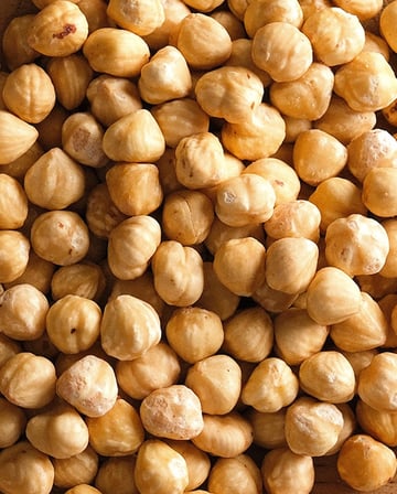 Premium Ordu Fındık