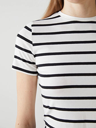 LCW Vision Siyah Bisiklet Yaka Çizgili Kadın Tişört