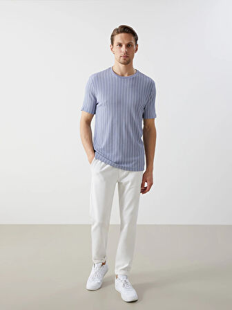 LCW Vision Mavi Bisiklet Yaka Kısa Kollu Çizgili Erkek Dokulu Tişört