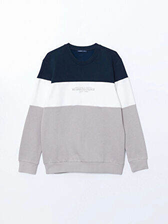 LCWAIKIKI Classic Bej Bisiklet Yaka Uzun Kollu Renk Bloklu Erkek Sweatshirt