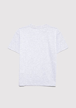 Baskılı Gri Tişört 6610359-88467