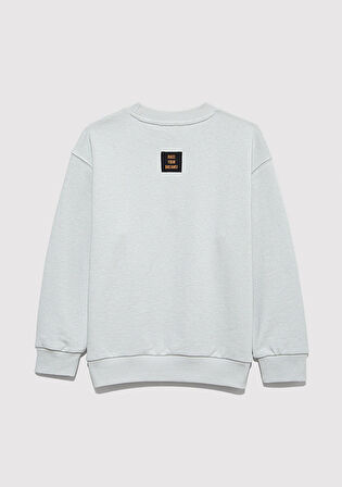 Baskılı Gri Sweatshirt 6S10126-90782