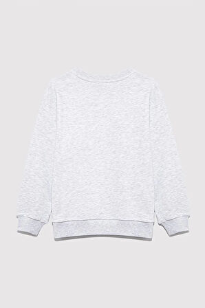 MV Baskılı Gri Sweatshirt 6S10054-88467
