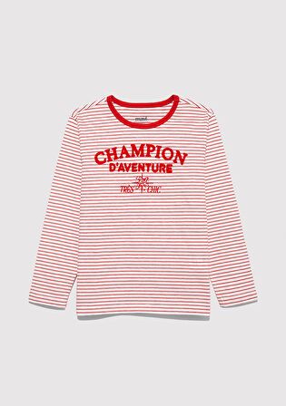 Uzun Kollu Çizgili Tişört 7610357-90989