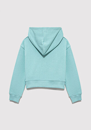 Mavi Baskılı Yeşil Sweatshirt 7S10145-71748