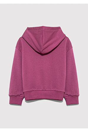Çocuk M7S10147-70651 Logo Baskılı Kapşonlu Sweatshırt Da Standart