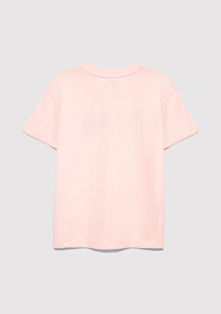 Mavi Pati Baskılı Pembe Tişört 7610361-90974