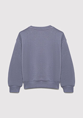Mavi Logo Baskılı Mor Sweatshirt 7S10170-88095