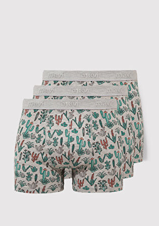 3lü Kaktüs Baskılı Gri Boxer 0912212-23854