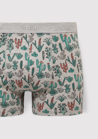 3lü Kaktüs Baskılı Gri Boxer 0912212-23854