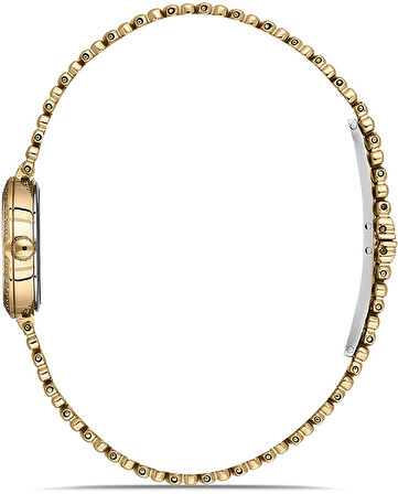 Momentus SS272G-15SG