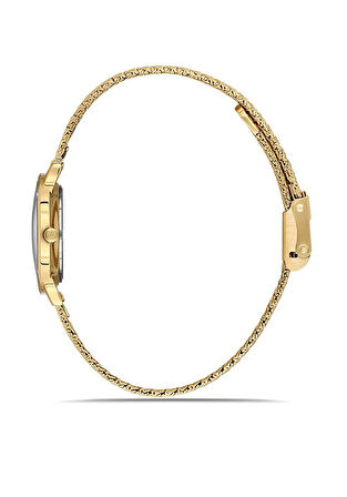 CW293G-09SG MOMENTUS WOMEN'S CLASSY KOL SAATİ