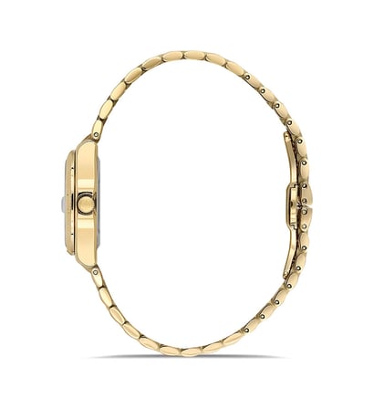 Momentus Cs262g-08sg Gold