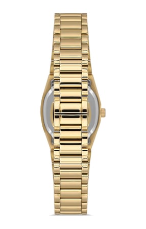 Momentus Cs262g-08sg Gold