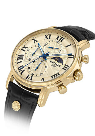Hislon Erkek Kol Saati TM112G-08BG