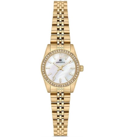 MOMENTUS SW262G-09SG