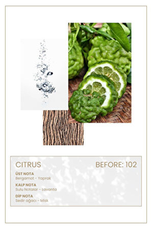 And You BEFORE 102 Edp Erkek Parfüm 50ml