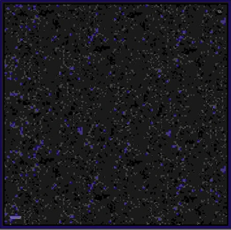 Armine Tivil İpek Eşarp 9311-10 Lacivert Karışık Desen 