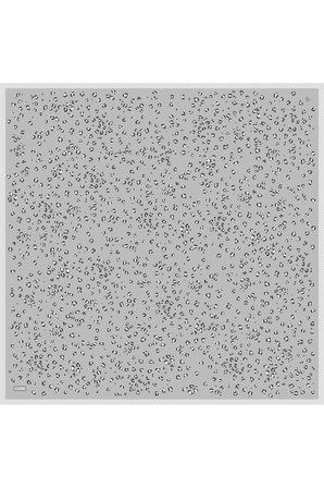 Belli Twill İpek Eşarp 4126-30