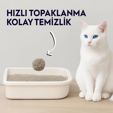 Sivocat WhiteHygineUltra Compact Topaklnan DoğalKedi Kumu6Kg