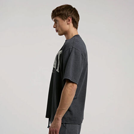 Everlast Everlast Authentic Boxing Erkek Gri T-Shirt