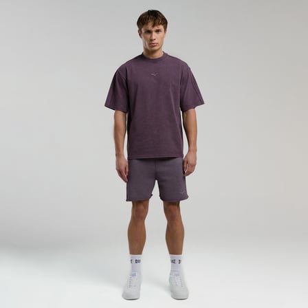 Everlast Bronx 1910 Oversize Erkek Kahverengi T-Shirt