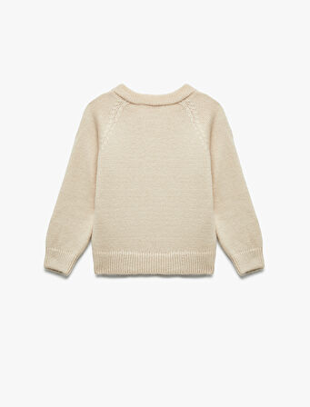 Taş Detaylı Uzun Kollu Bisiklet Yaka Triko Kazak