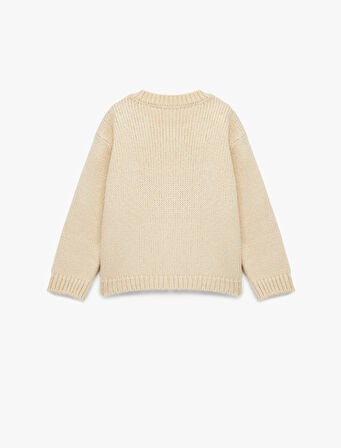 Aplike Gül Detaylı Uzun Kollu Bisiklet Yaka Triko Kazak