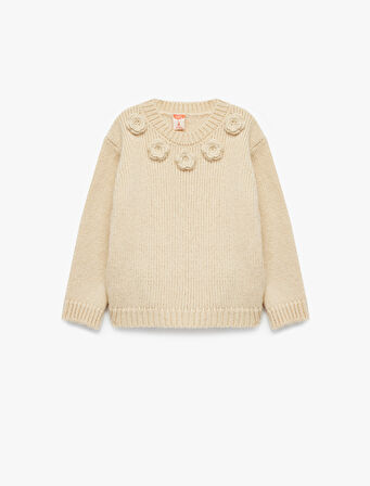 Aplike Gül Detaylı Uzun Kollu Bisiklet Yaka Triko Kazak