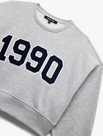 Üç İplik Şardonlu Uzun Kollu Bisiklet Yaka Nakışlı Crop Sweatshirt