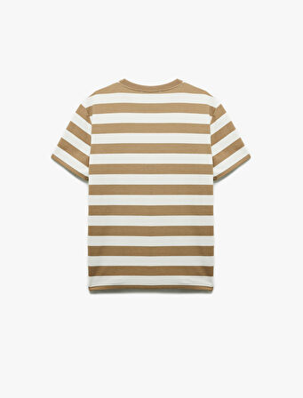 Regular Fit Kısa Kollu Tok Kumaş Çizgili Bisiklet Yaka Tişört