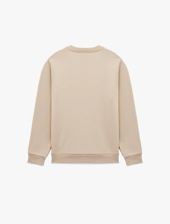 Regular Fit Uzun Kollu Şardonlu Baskılı Bisiklet Yaka Sweatshirt