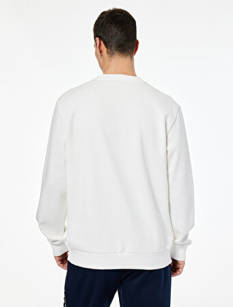 Regular Fit Uzun Kollu Nakışlı Bisiklet Yaka Sweatshirt