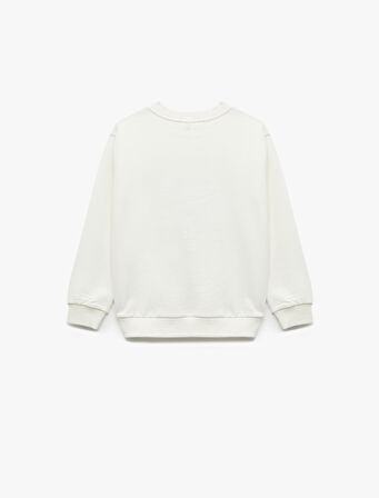 Baskılı Uzun Kollu Bisiklet Yaka Pamuklu Şardonlu Sweatshirt