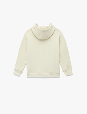 Şardonlu Dinozor Baskılı Uzun Kollu Kapşonlu Sweatshirt