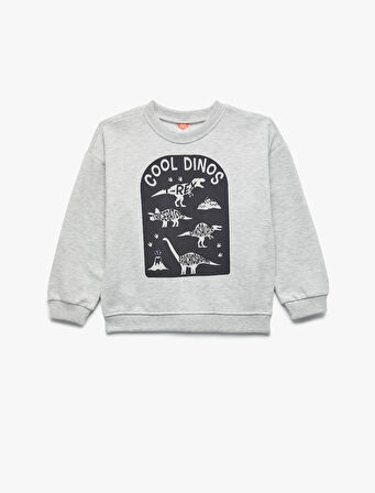 Baskılı Şardonlu Uzun Kollu Bisiklet Yaka Sweatshirt