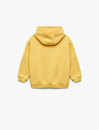 Şardonlu Uzun Kollu Kanguru cepli Aslan Baskılı Kapşonlu Sweatshirt