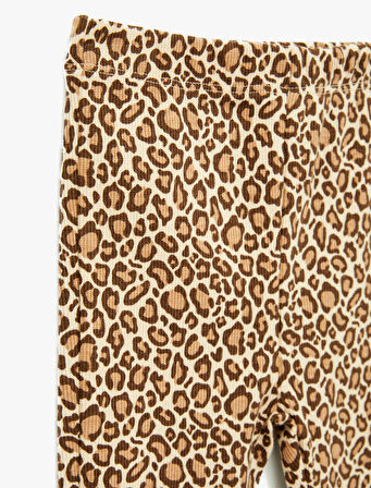 Leopar Desenli Beli Lastikli Pamuklu İspanyol Paça Tayt