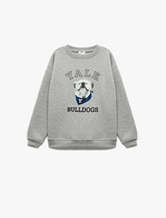 Lisanslı Uzun Kollu Bisiklet Yaka Baskılı Şardonlu Sweatshirt
