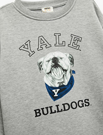 Lisanslı Uzun Kollu Bisiklet Yaka Baskılı Şardonlu Sweatshirt