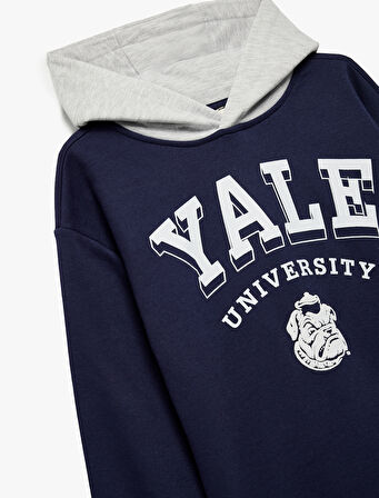 Lisanslı Kapşonlu Uzun Kollu Şardonlu Baskılı Sweatshirt