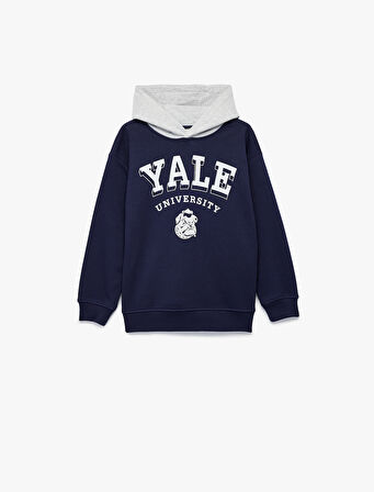 Lisanslı Kapşonlu Uzun Kollu Şardonlu Baskılı Sweatshirt