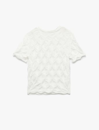 Bürümcük Kumaş Dokulu Slim Fit Kısa Kollu Bisiklet Yaka Tişört