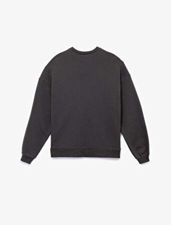 Uzun Kollu Bisiklet Yaka Şardonlu Fiyonk Baskılı Sweatshirt
