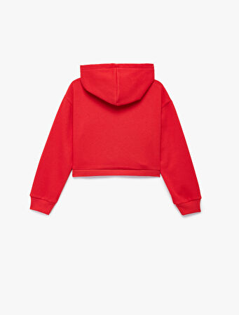 Aplike Detaylı Şardonlu Uzun Kollu Kapüşonlu Crop Sweatshirt