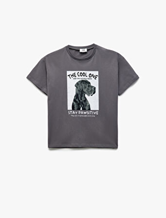 Köpek Baskılı Kısa Kollu Bisiklet Yaka Pamuklu Tişört