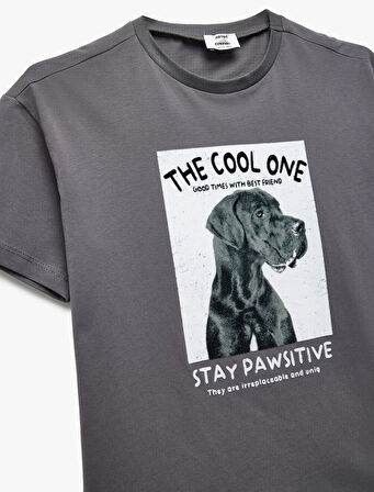 Köpek Baskılı Kısa Kollu Bisiklet Yaka Pamuklu Tişört